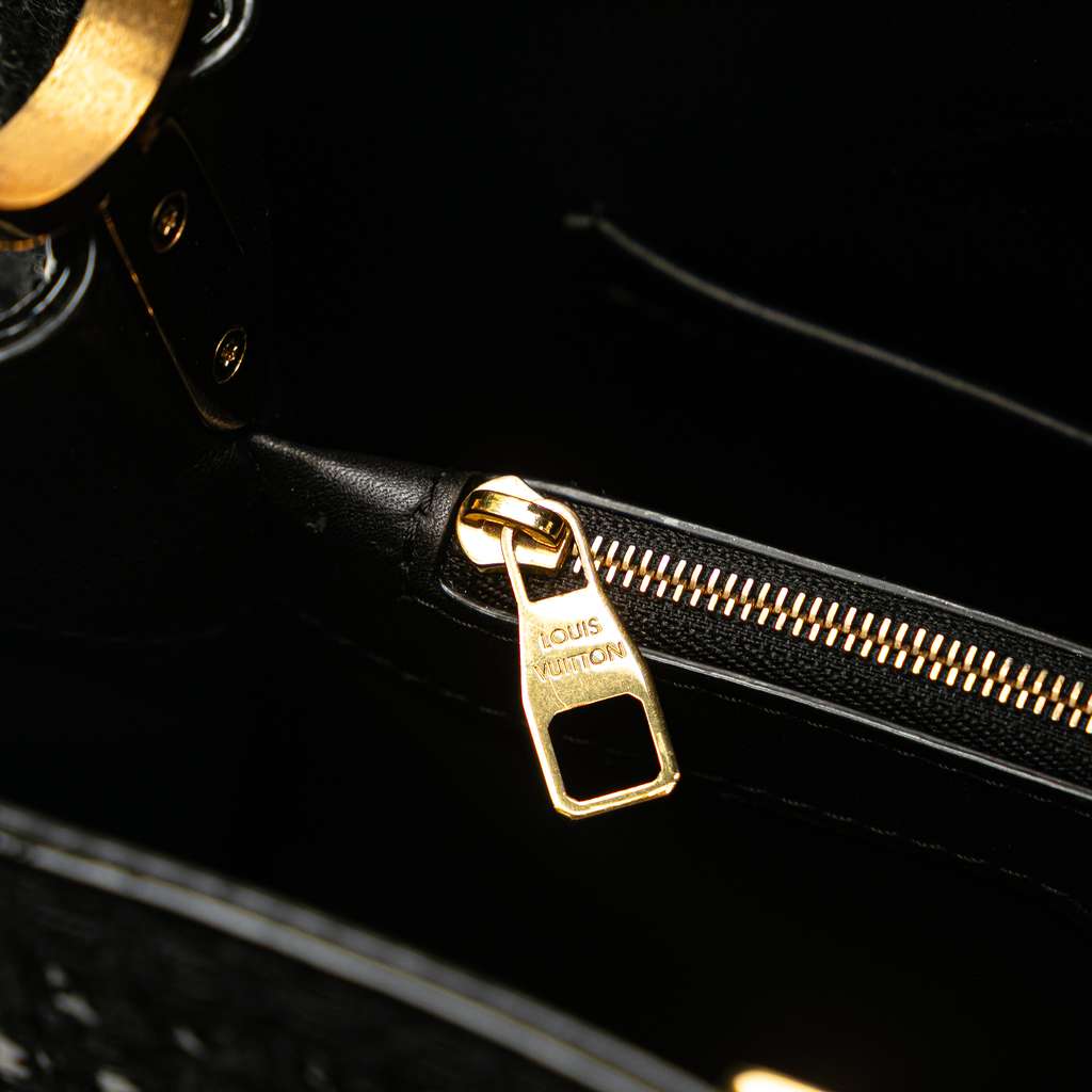 Louis Vuitton Tweed Capucines MM - Image 11