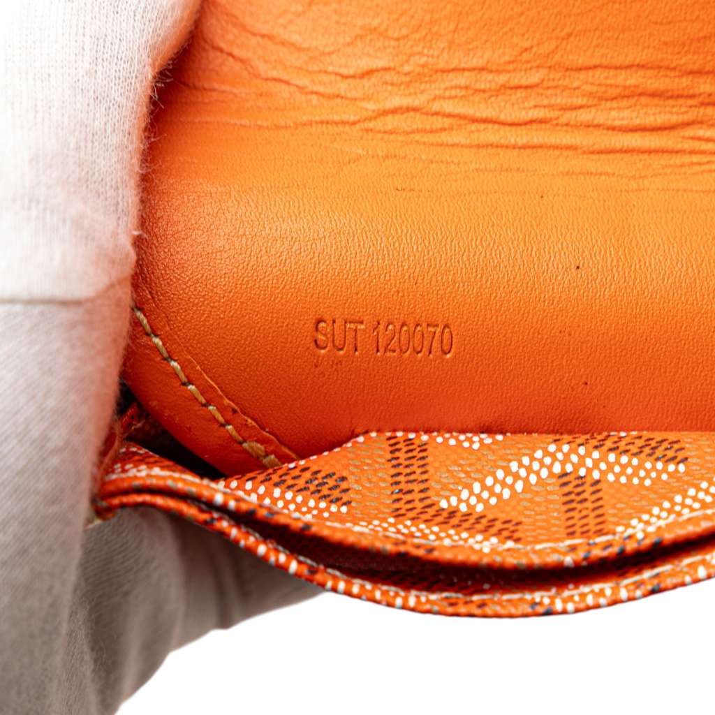 Goyard Goyardine Saint Louis GM - Detail 1