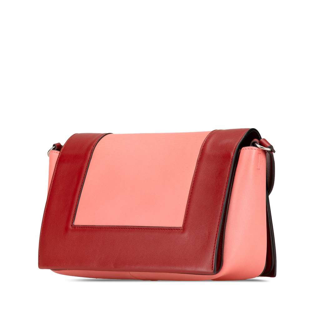 Celine Leather Frame Shoulder Bag - 2