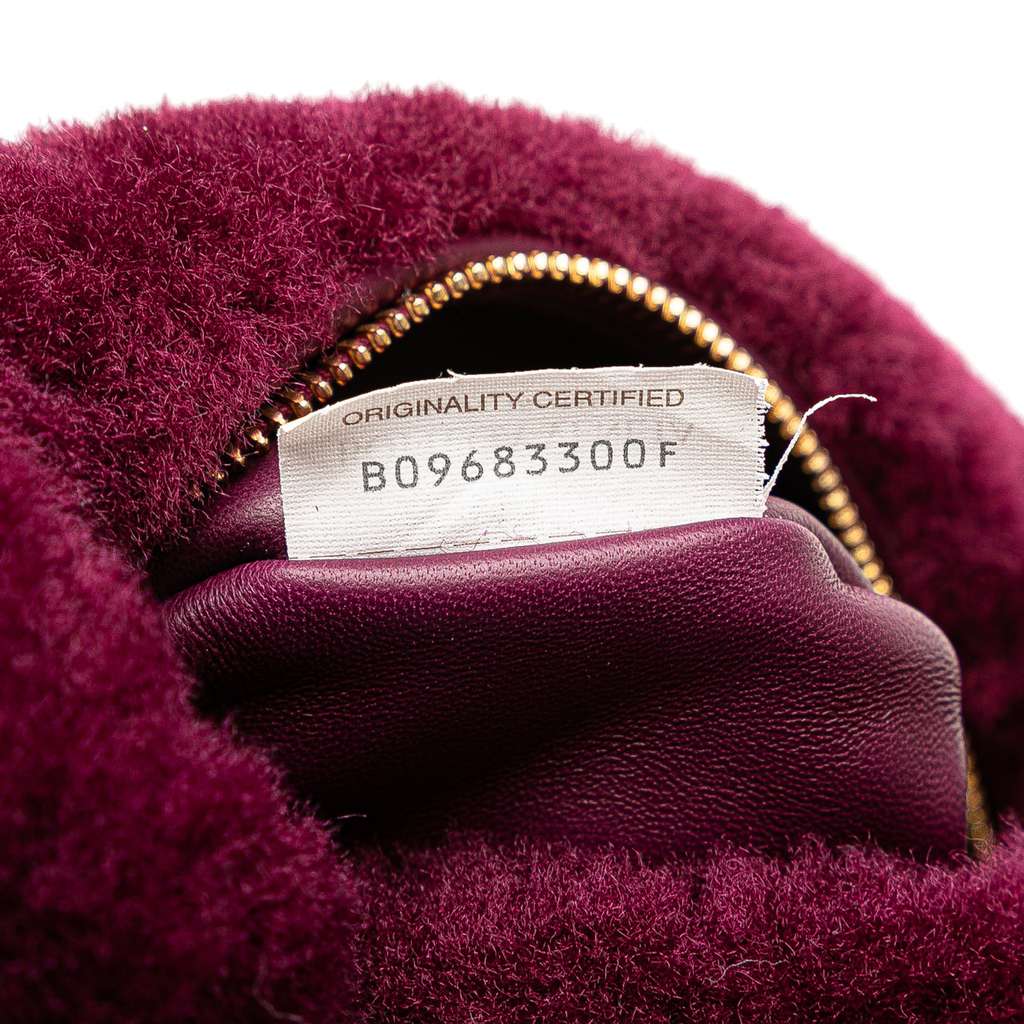 Bottega Veneta Mini Shearling Jodie - Side view