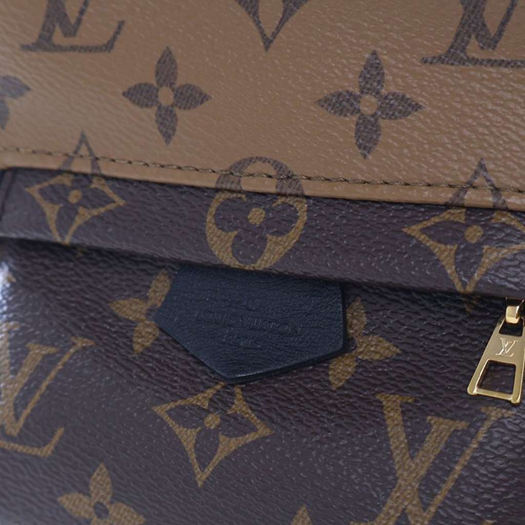 Louis Vuitton Monogram Reverse Mini Palm Springs - Image 10