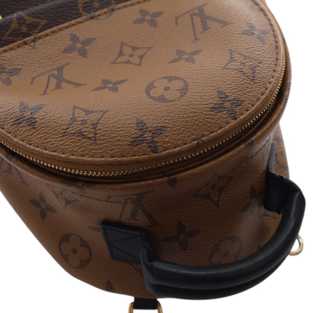 Louis Vuitton Monogram Reverse Mini Palm Springs - Image 11