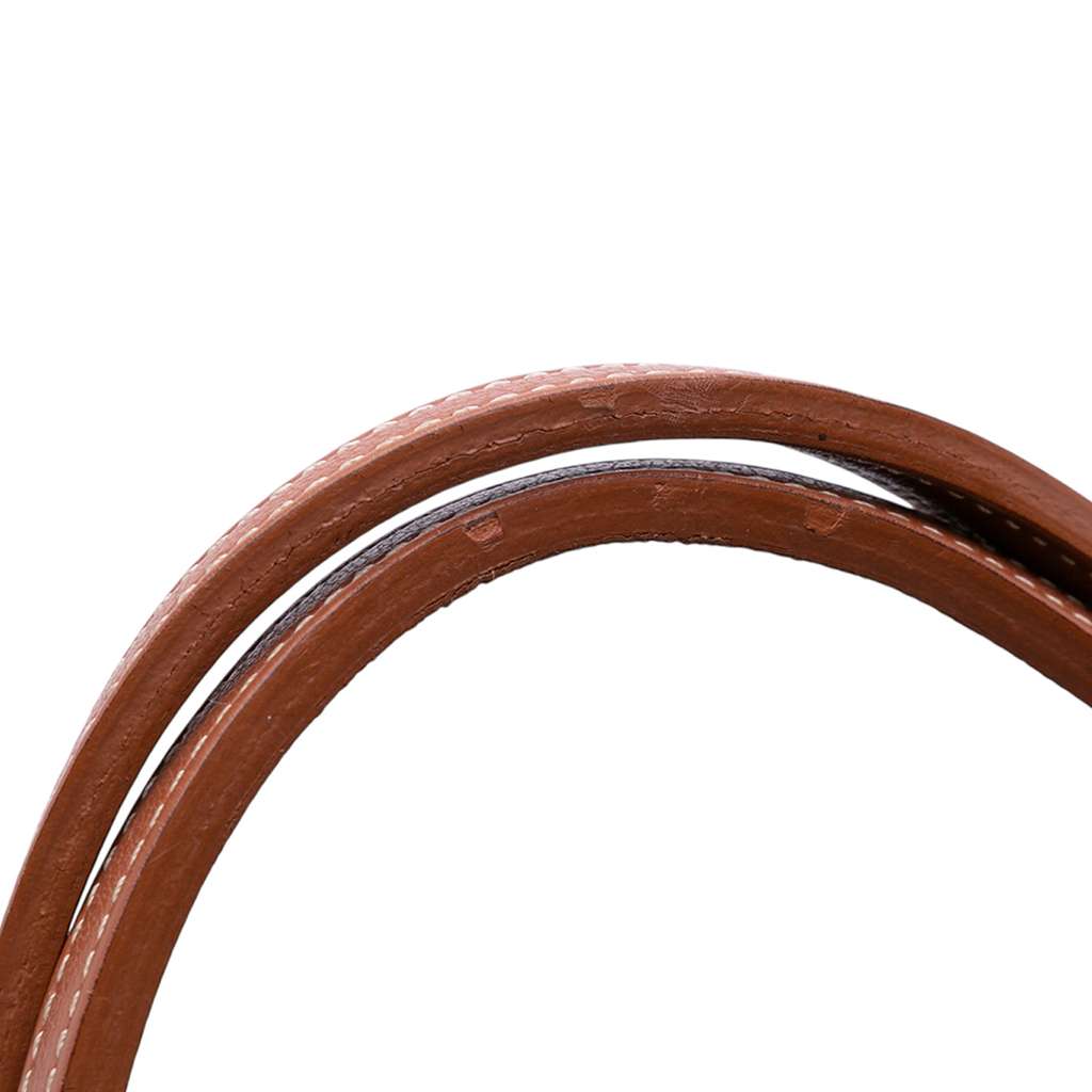 Goyard Goyardine Saint Louis GM - Image 11