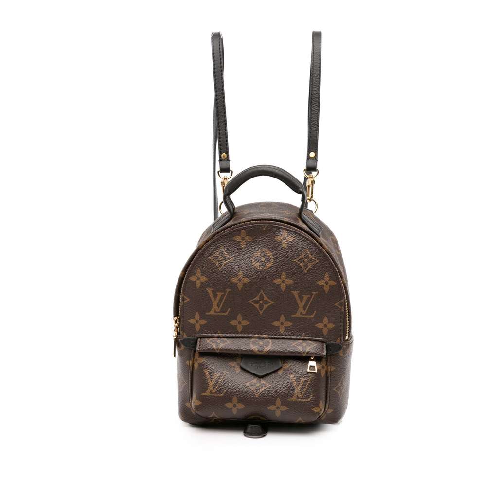 Louis Vuitton Monogram Mini Palm Springs