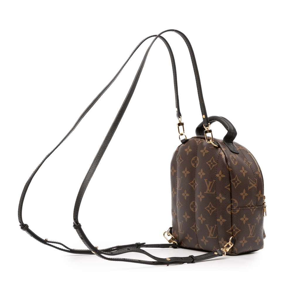 Louis Vuitton Monogram Mini Palm Springs - Back view