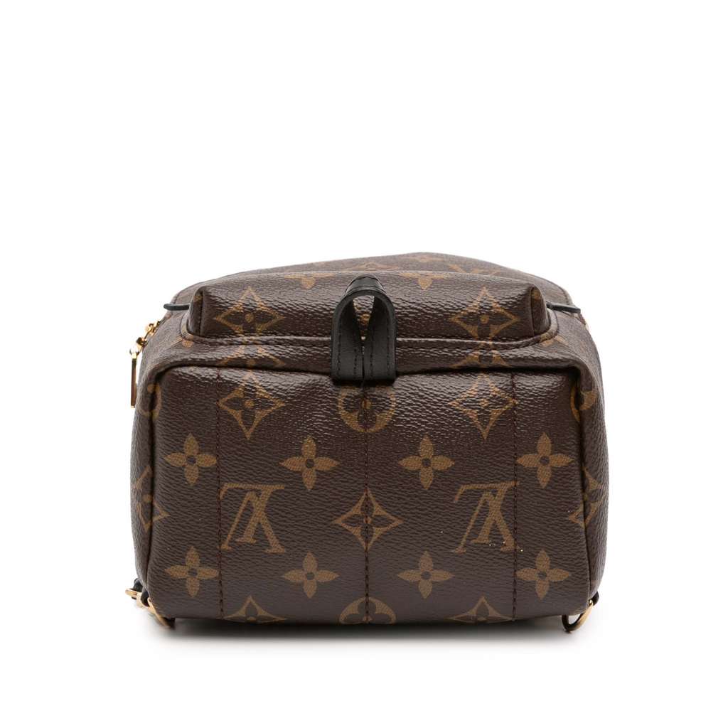 Louis Vuitton Monogram Mini Palm Springs - Image 6