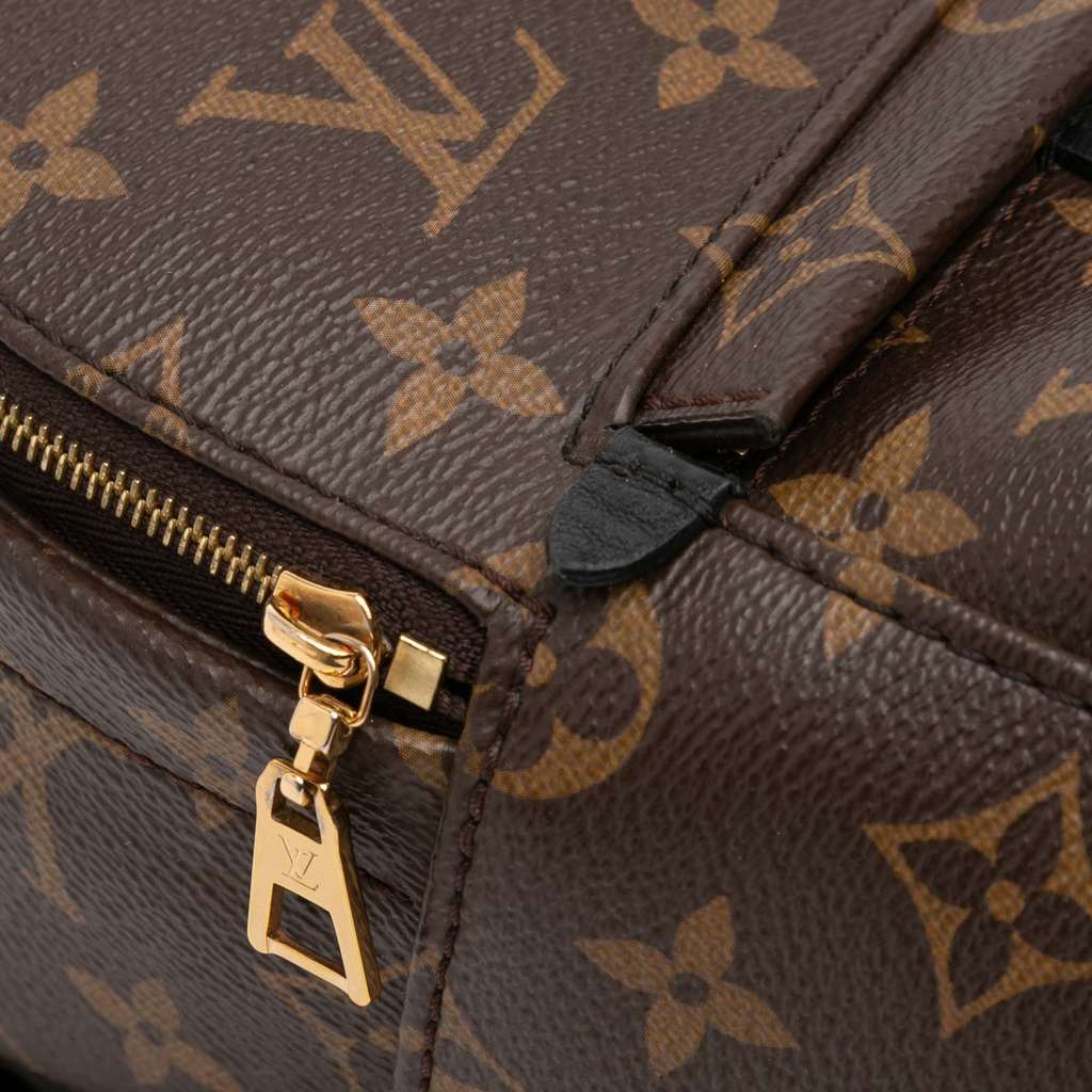 Louis Vuitton Monogram Mini Palm Springs - Detail 1