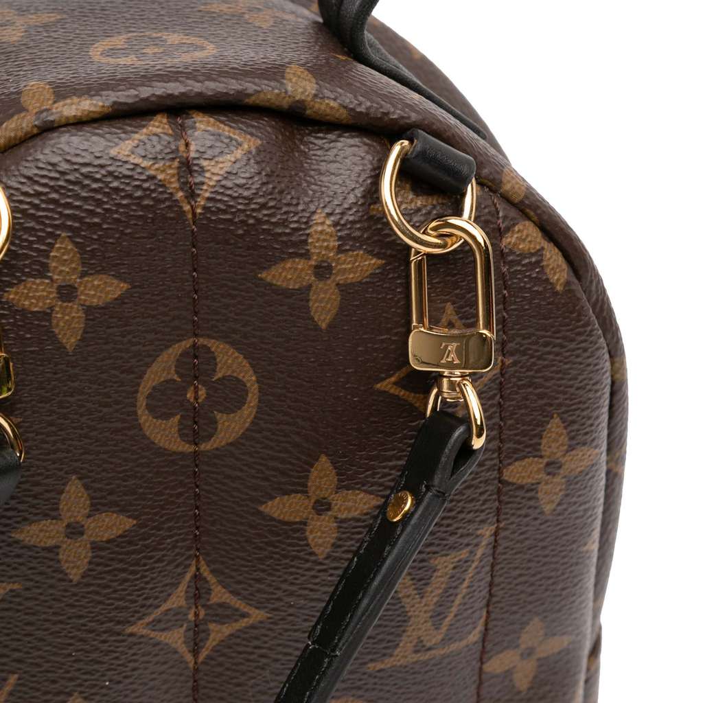 Louis Vuitton Monogram Mini Palm Springs - Detail 2