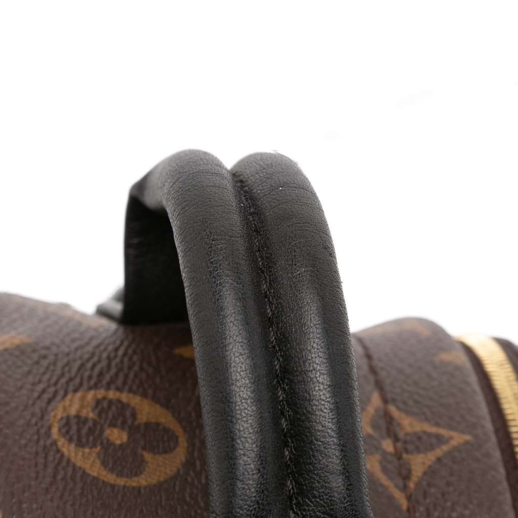 Louis Vuitton Monogram Mini Palm Springs - Image 10