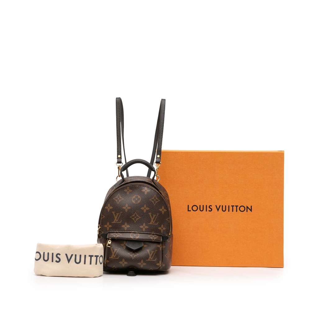 Louis Vuitton Monogram Mini Palm Springs - Image 12