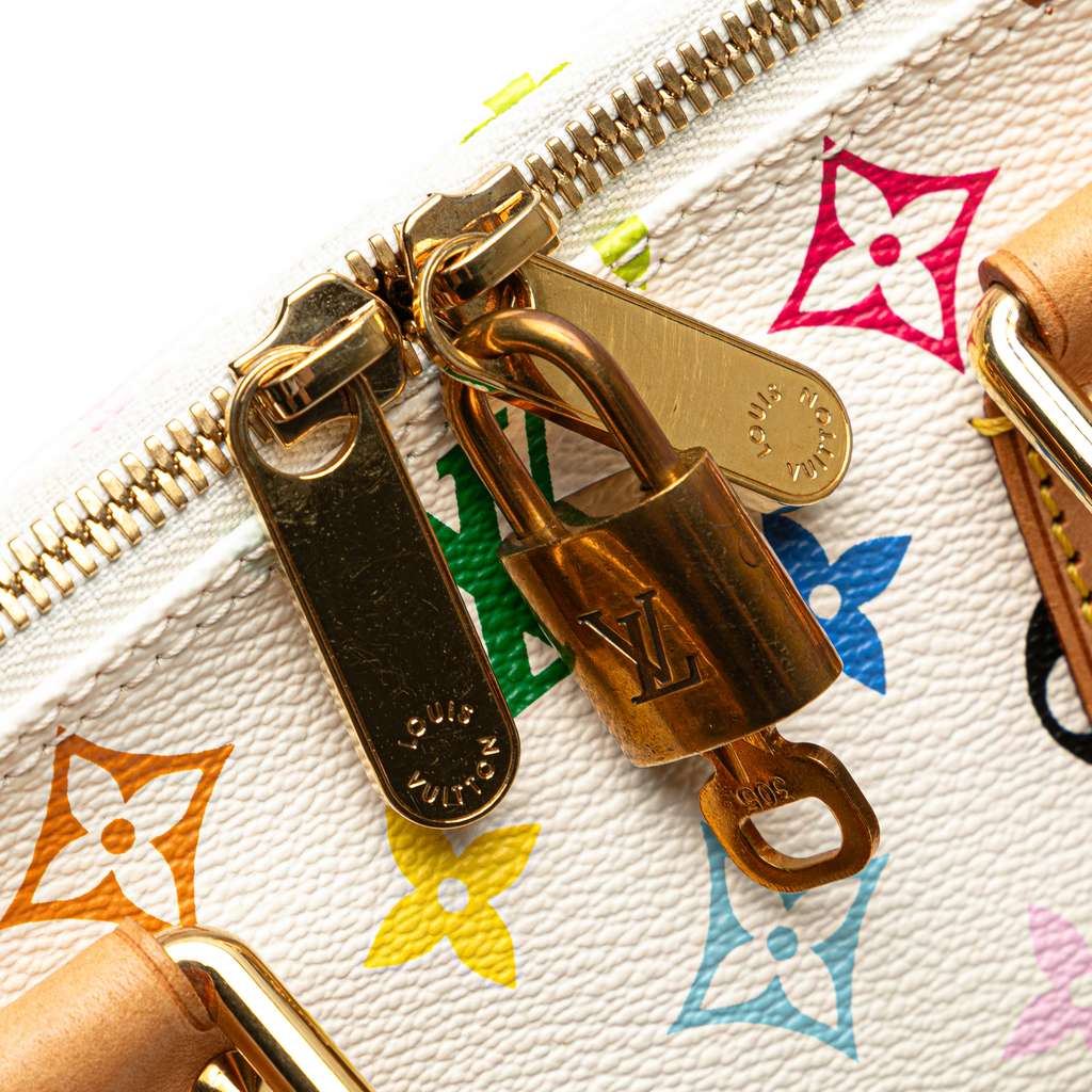 Louis Vuitton Monogram Multicolore Alma PM - Detail 2