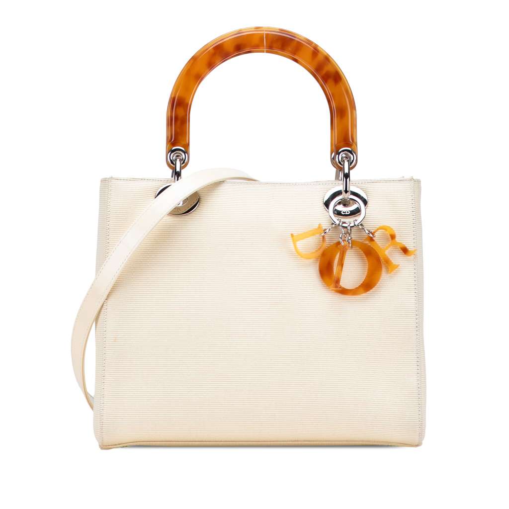 Dior Medium Canvas Lady Dior