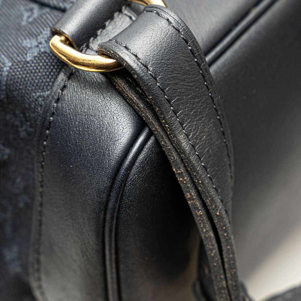 Louis Vuitton Monogram Mini Lin Montsouris GM - Image 12