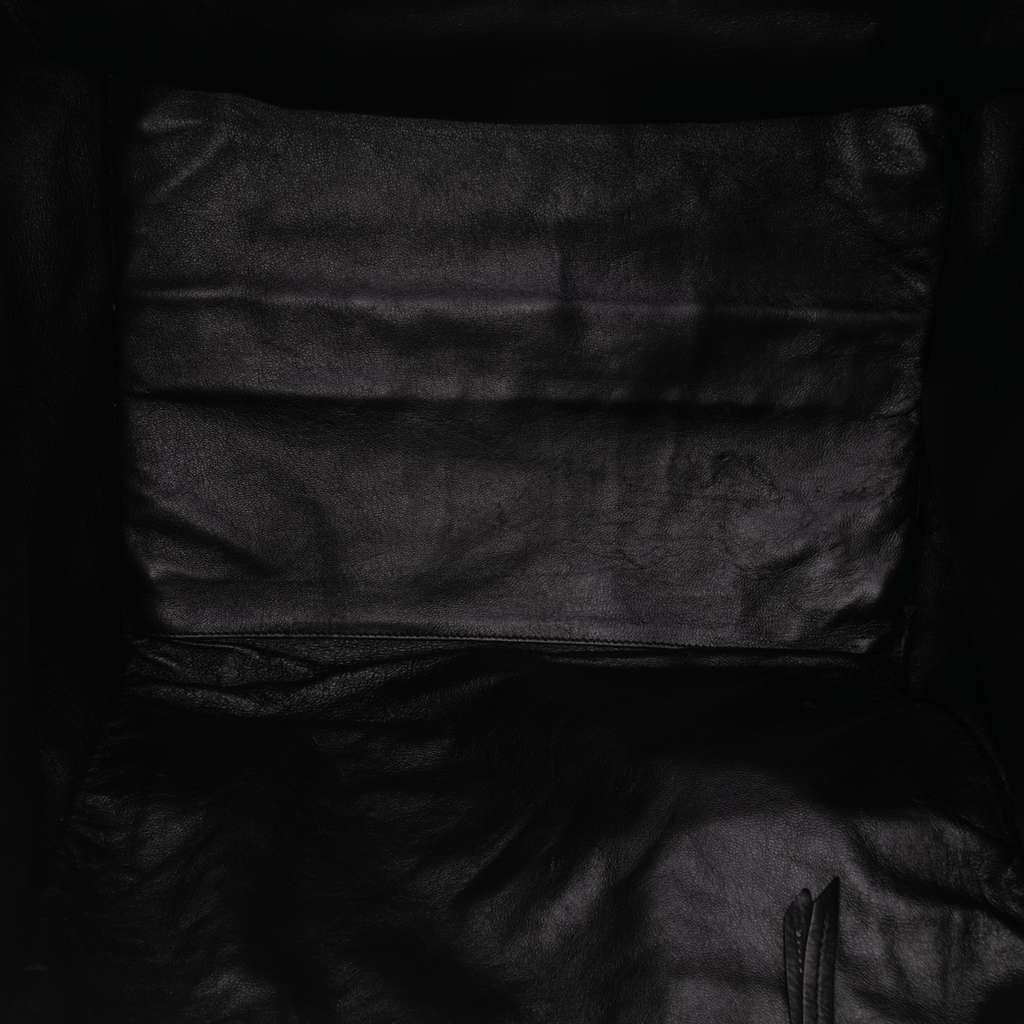 Celine Large Suede Phantom Luggage Tote - 4