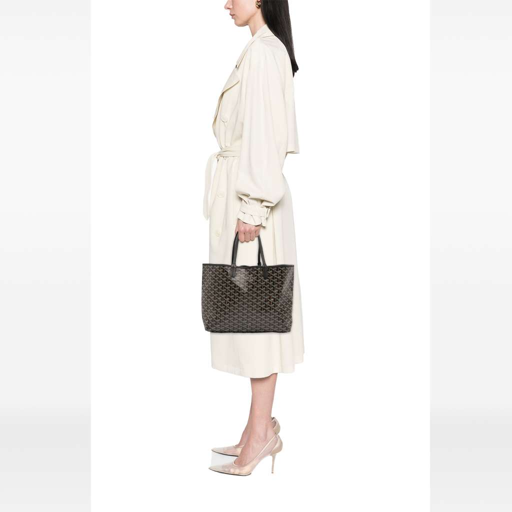 Goyard Goyardine Saint Louis PM - Image 12