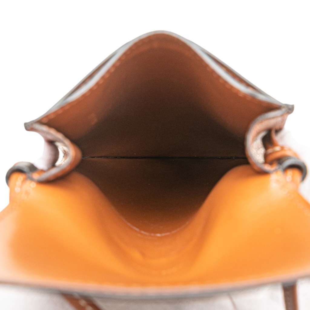 Celine Triomphe Coated Canvas Phone Pouch Flap Crossbody - 4