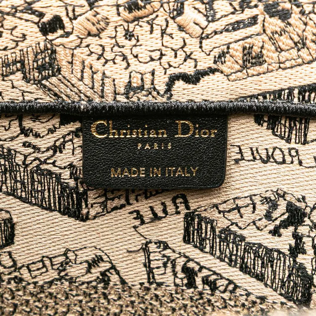 Dior Medium Embroidered Canvas Plan de Paris Book Tote Brown Canvas Good - Box View