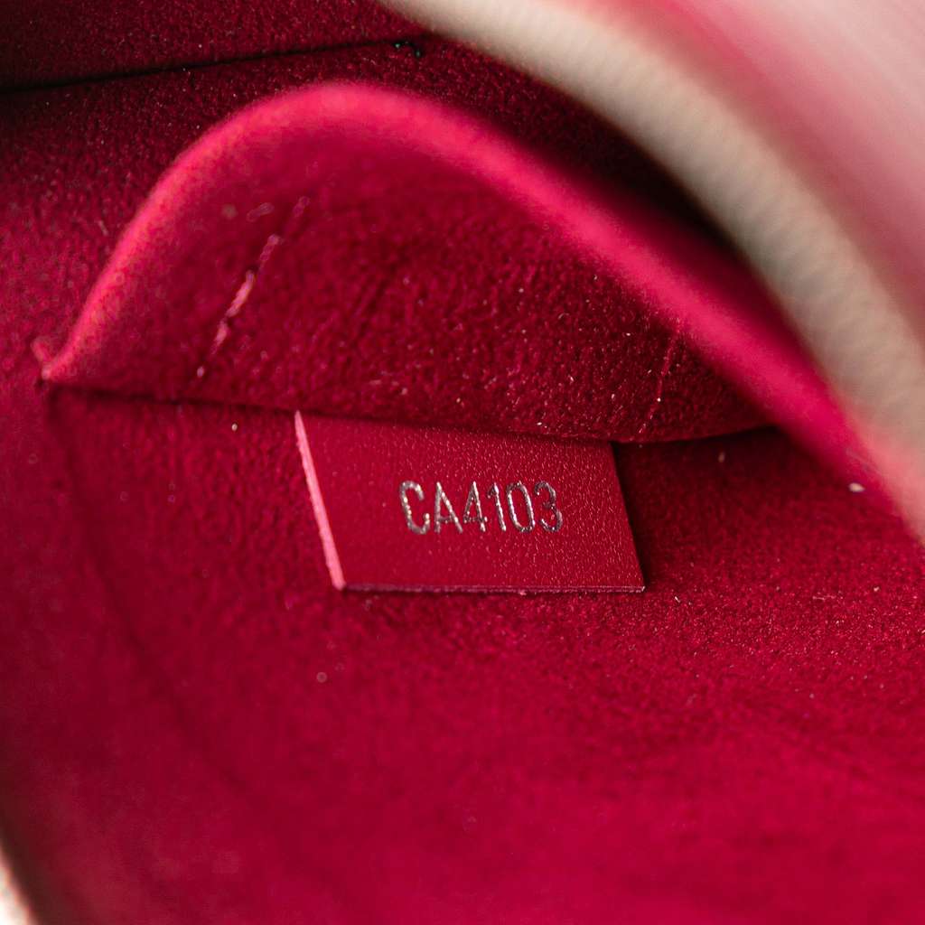 Louis Vuitton Epi Neverfull PM - Detail 1