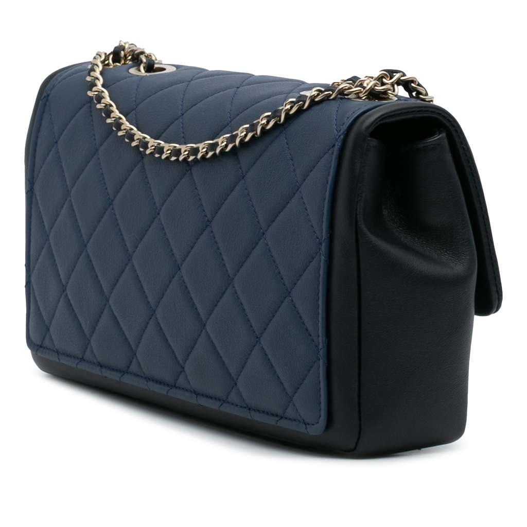 Chanel Medium Bicolor Calfskin Graphic Flap - Back view