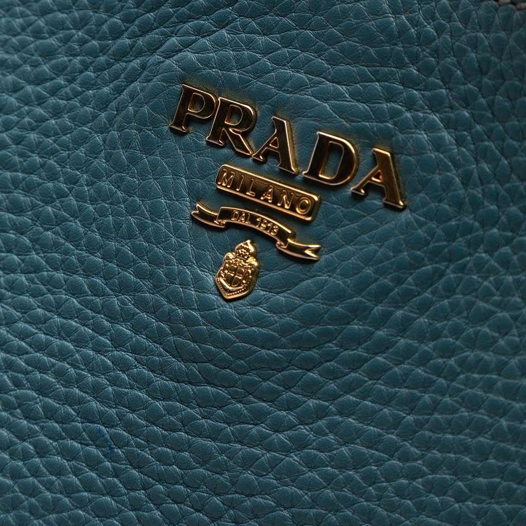 Prada Vitello Daino Hobo - Side view
