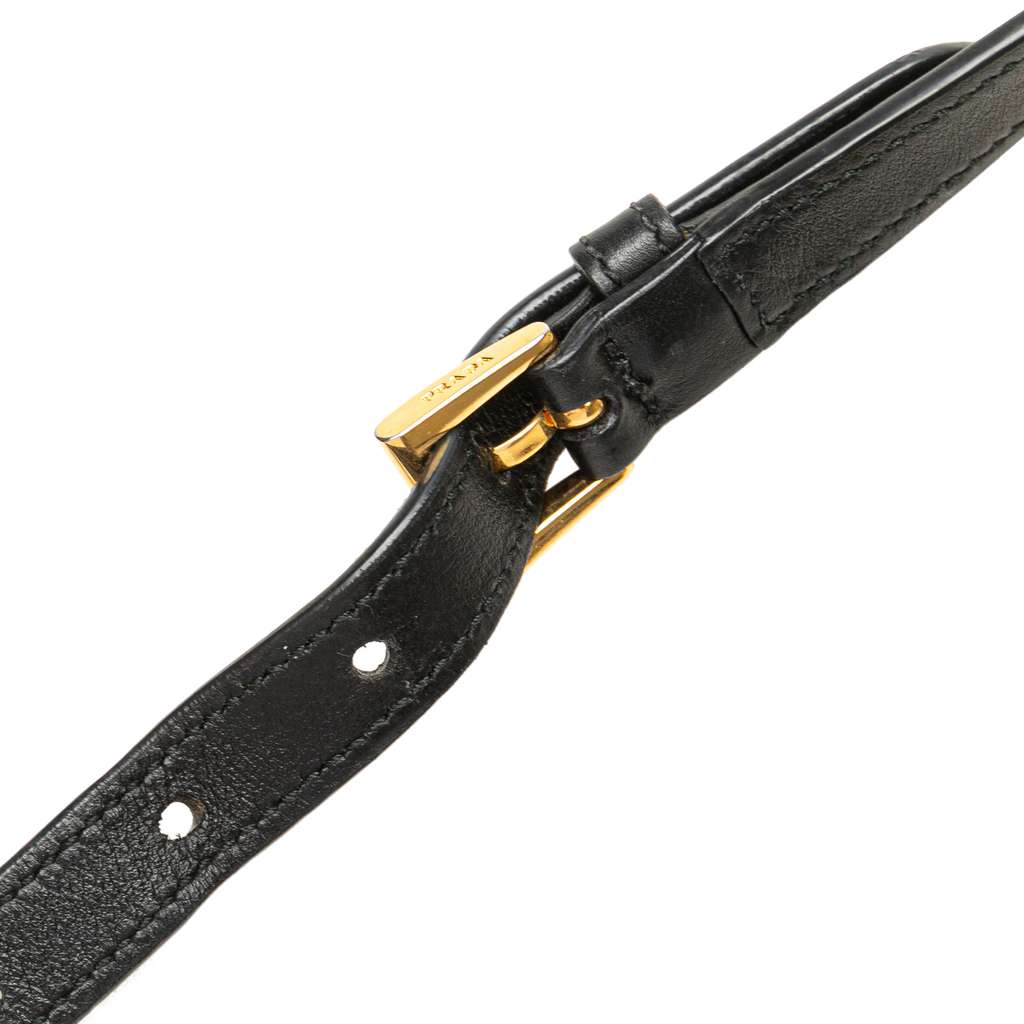 Prada Saffiano and City Calf Esplanade Satchel - Image 11