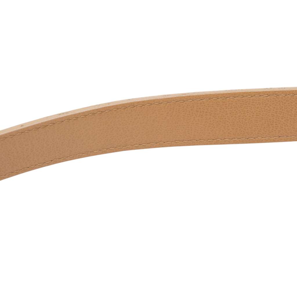 Dior Leather Saddle Bag - Image 12