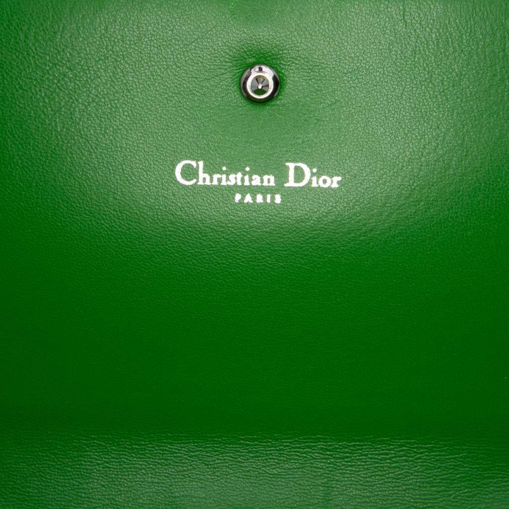 Dior Grained Calfskin Diorama Croisiere Wallet on Chain - Side view