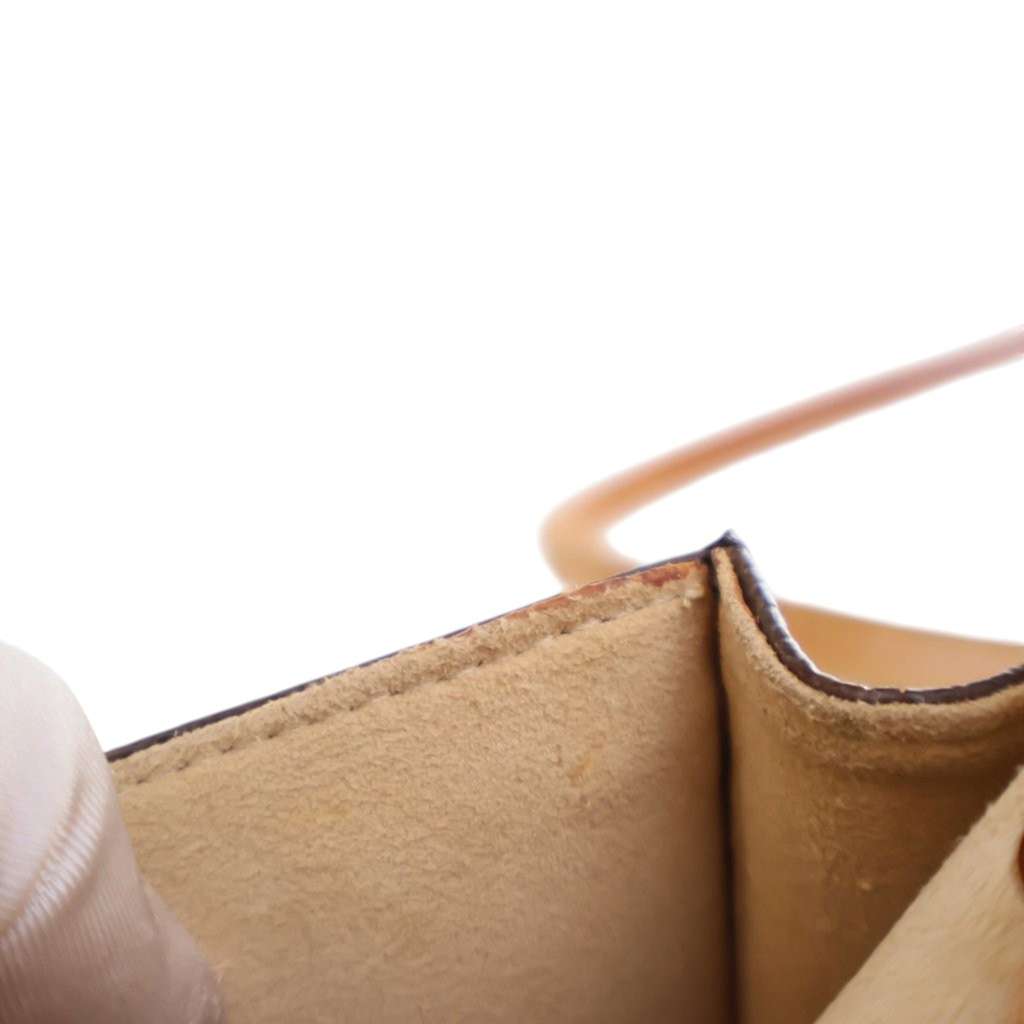 Louis Vuitton Monogram Pochette Twin PM - 5