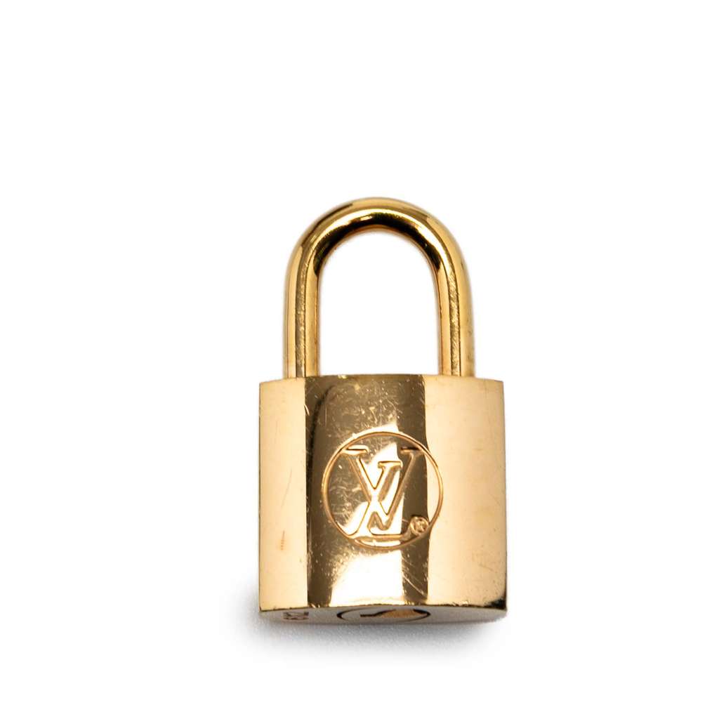 Louis Vuitton Monogram Reverse Vanity PM - Detail 1