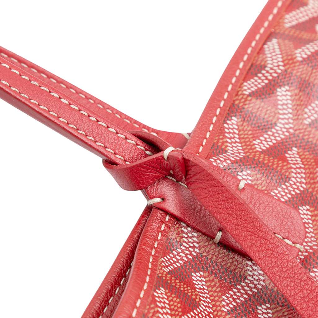 Goyard Goyardine Saint Louis PM - Image 11