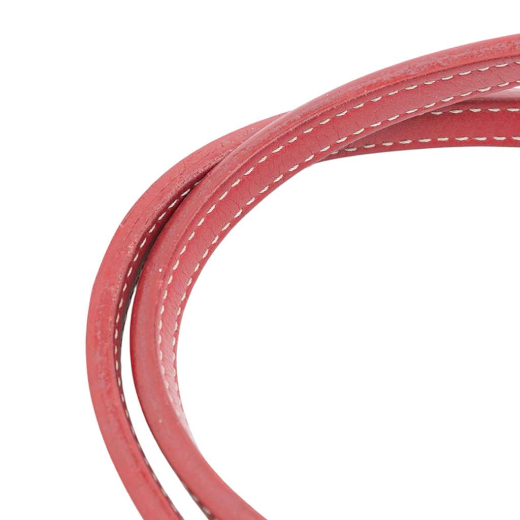 Goyard Goyardine Saint Louis PM - Image 12