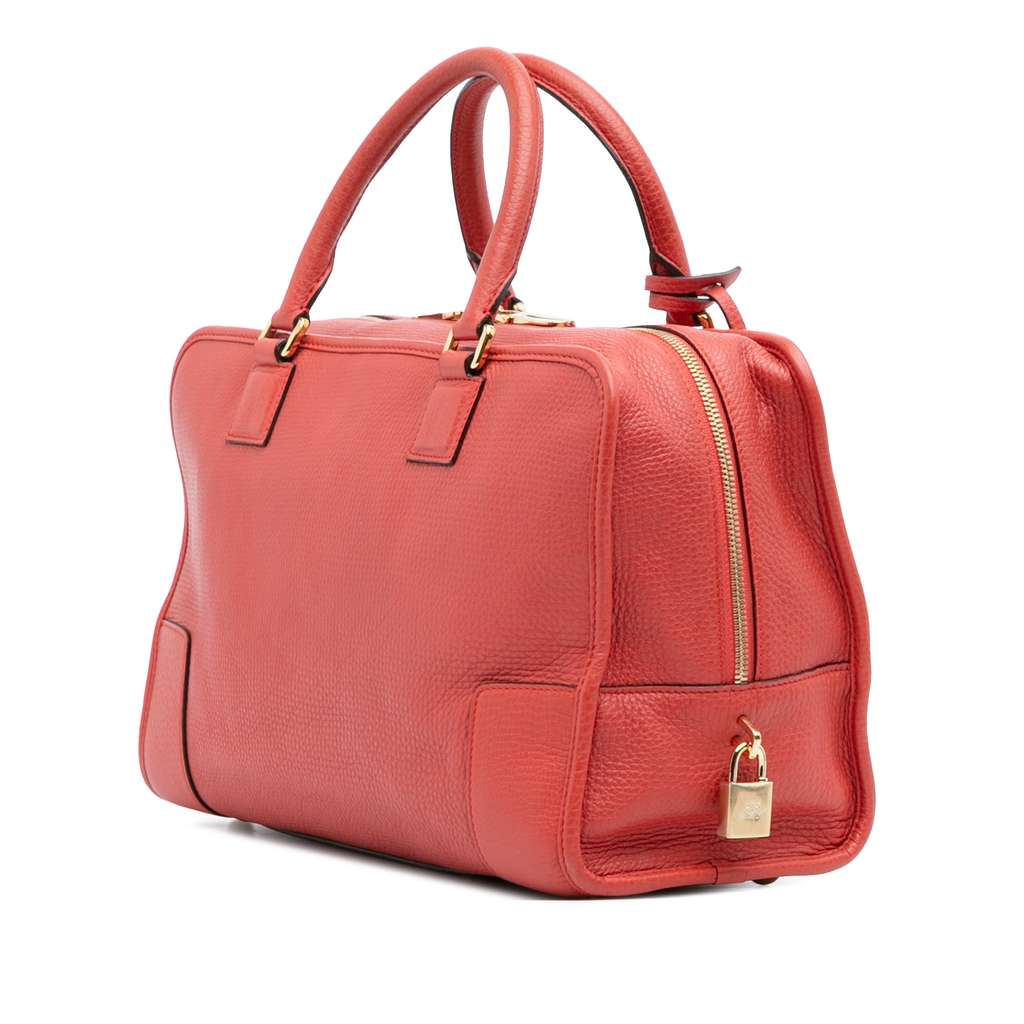 Loewe Leather Amazona 36 - 2