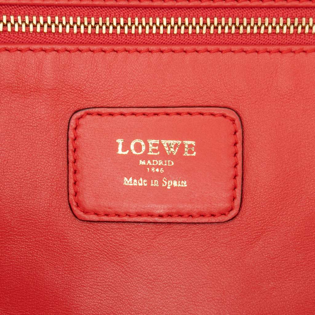 Loewe Leather Amazona 36 - 5