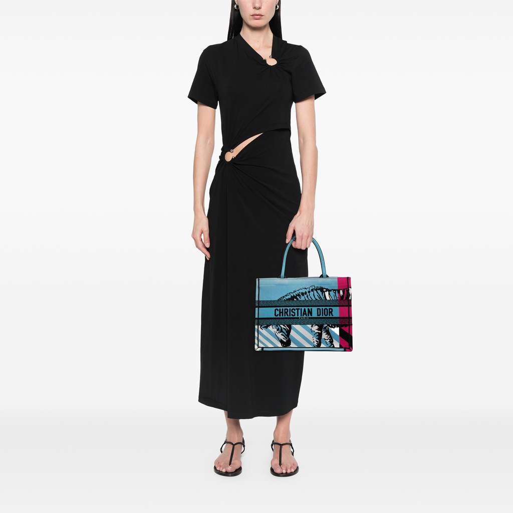 Dior Medium Embroidered Canvas Zebra D Jungle Pop Book Tote - Detail 2