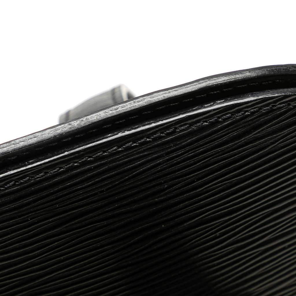 Louis Vuitton Epi Lussac - Image 11
