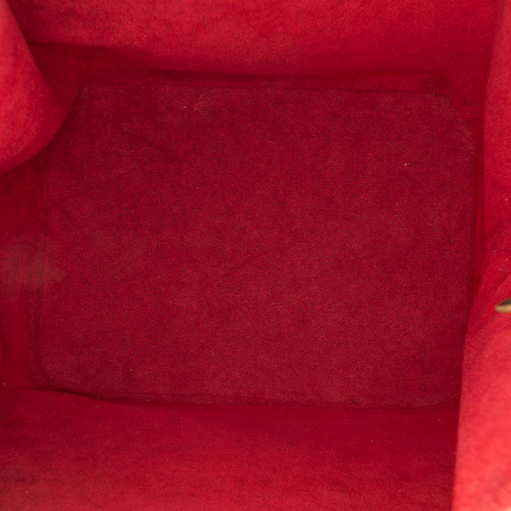 Louis Vuitton Epi Petit Noe - 4