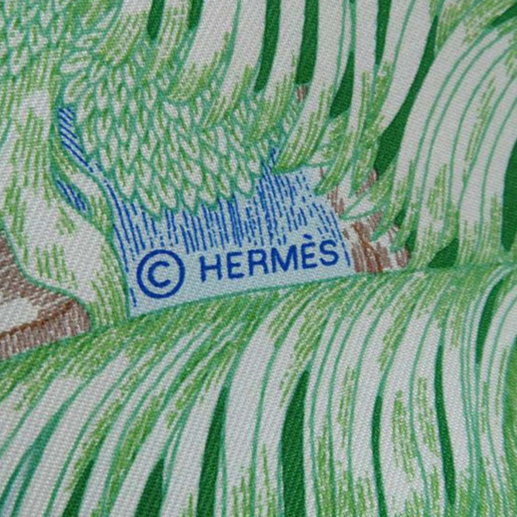 Hermès Faubourg Tropical Silk Scarf - 2