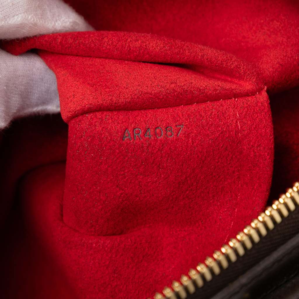 Louis Vuitton Damier Ebene Trevi GM - Detail 1