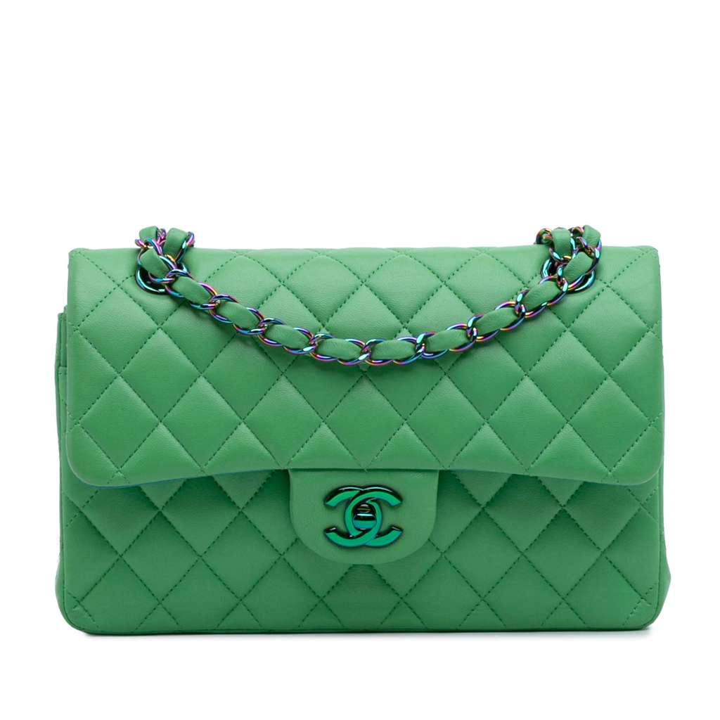 Chanel Small Classic Lambskin Rainbow Hardware Double Flap