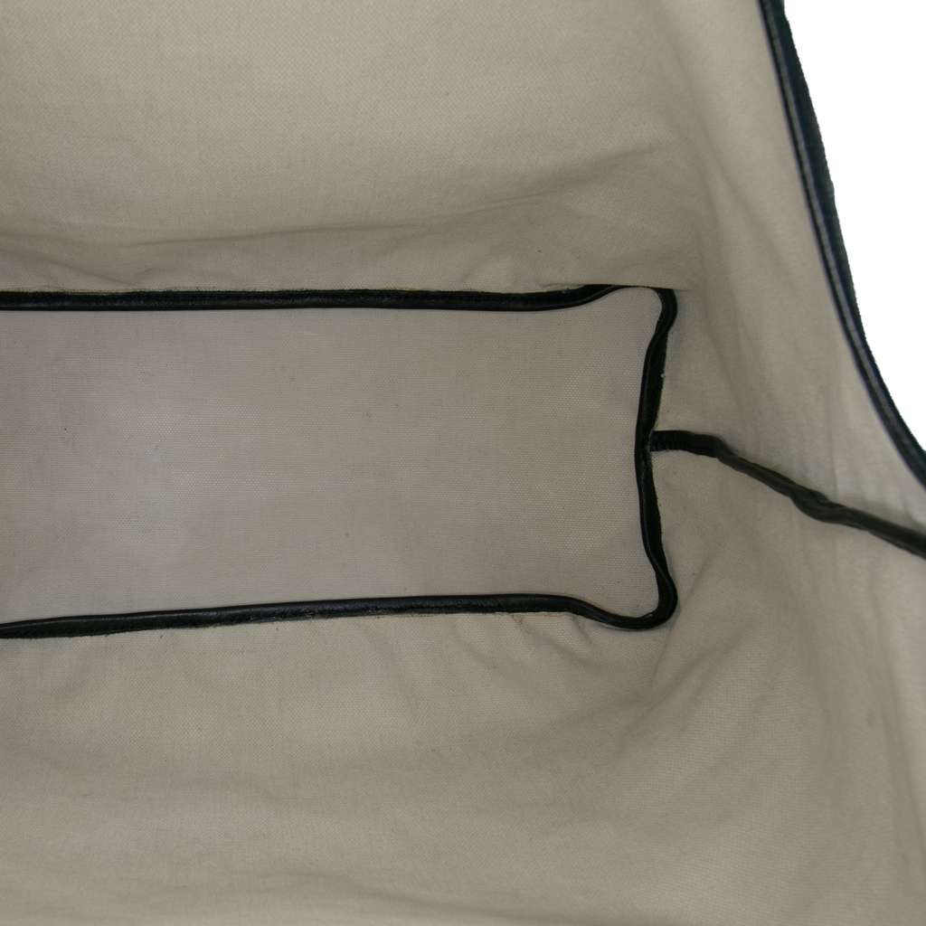 Goyard Goyardine Saint Louis PM - 4