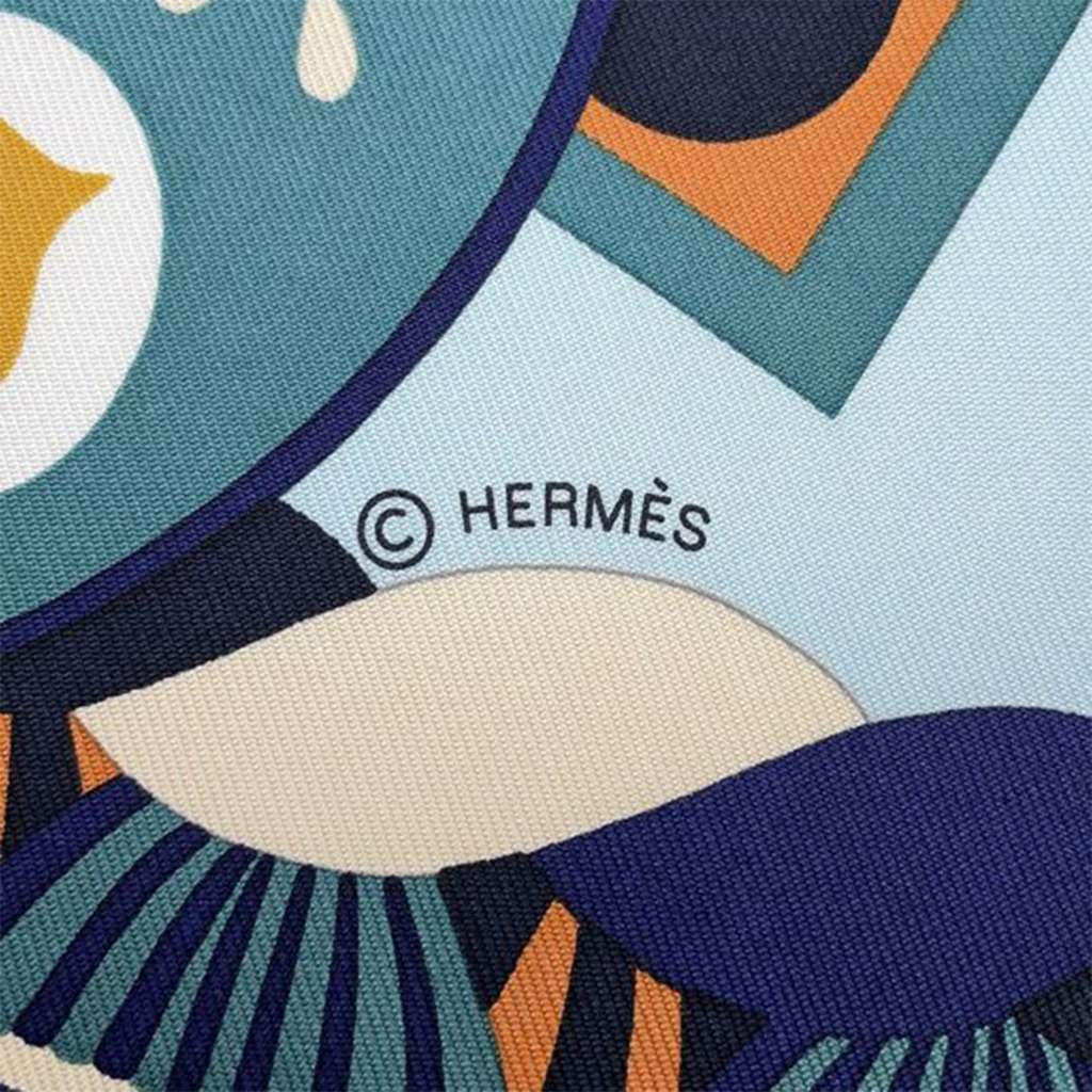 Hermès Haute Parure Silk Scarf - 3