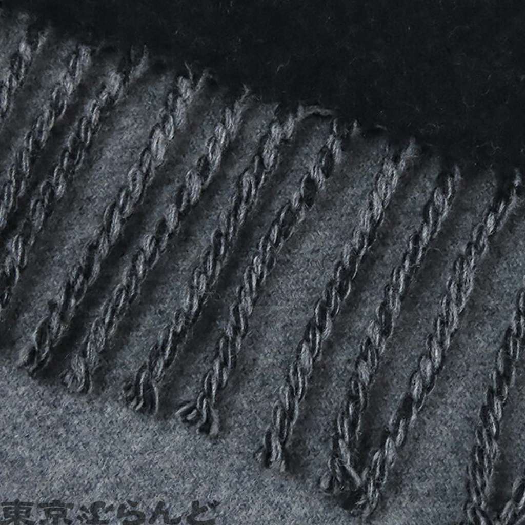 Louis Vuitton Wool and Cashmere Echarpe City Alps Logo Patch Scarf - 5