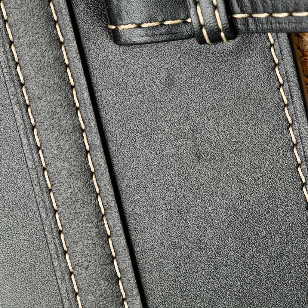 Loewe Small Raffia and Leather Gate Top Handle Bag - Image 10