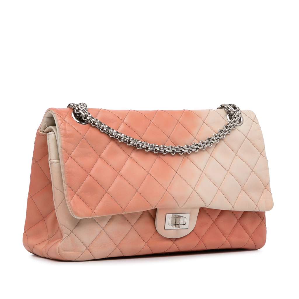 Chanel Ombre Reissue 225 Double Flap - Back view