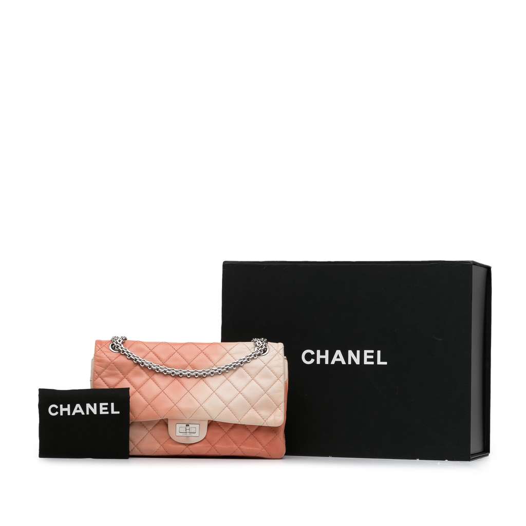Chanel Ombre Reissue 225 Double Flap - Image 16