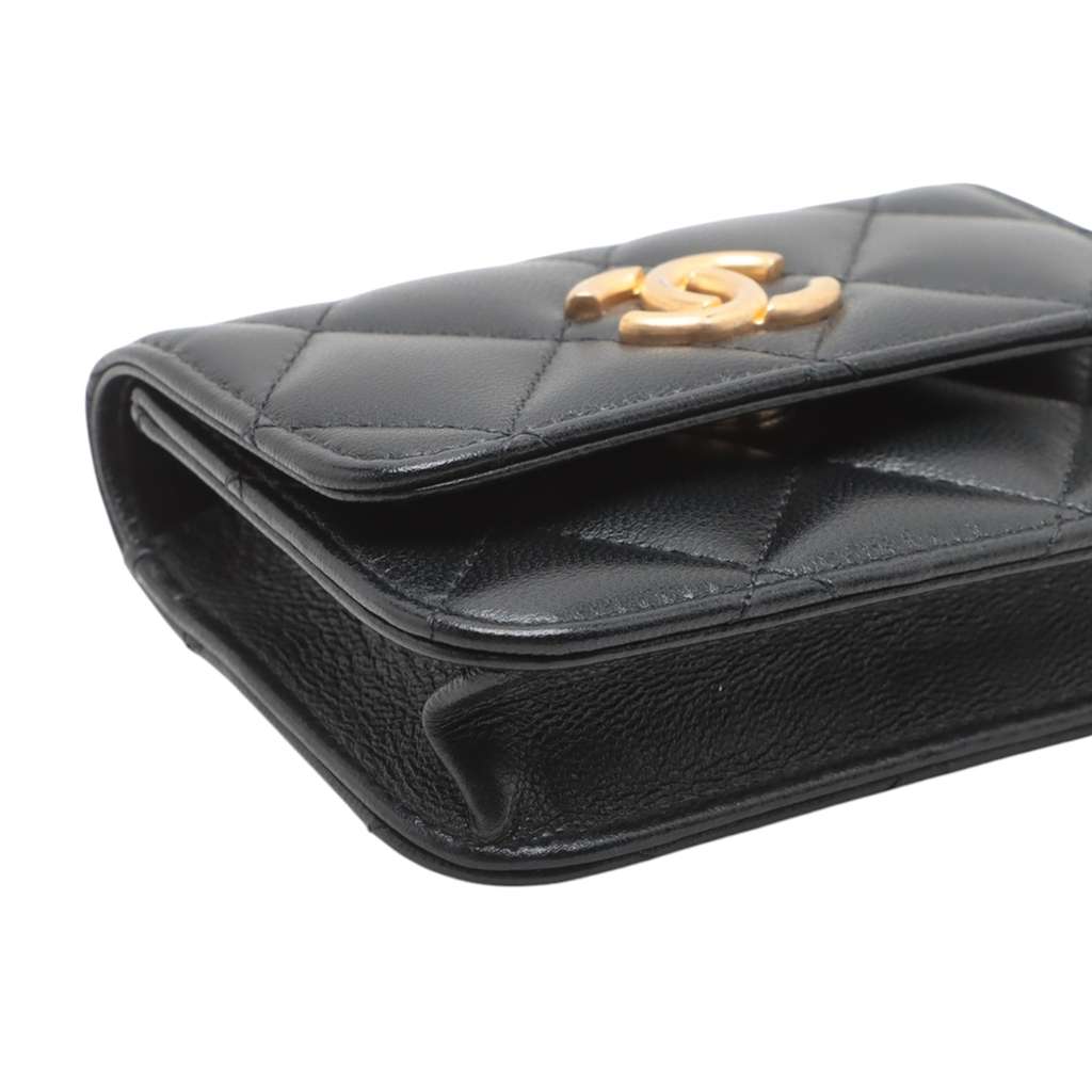 Chanel Mini Quilted Goatskin Punk Essentials Chain Flap Belt Bag - Side view