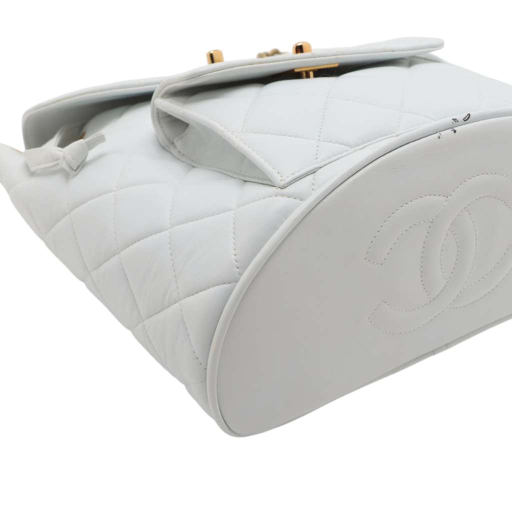 Chanel Medium Quilted Lambskin Duma Backpack - Detail 1