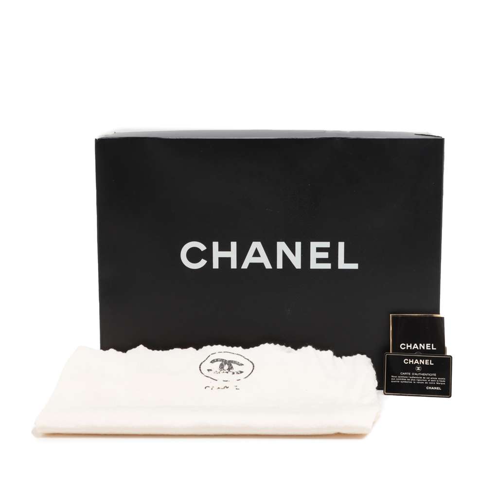 Chanel Medium Quilted Lambskin Duma Backpack - Image 12