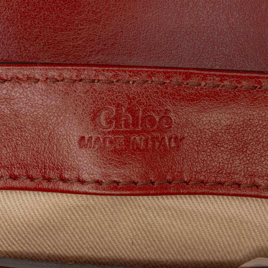 Chloé Mini Shaded Glossy Calfskin Lizard Embossed Trim C Satchel - 5