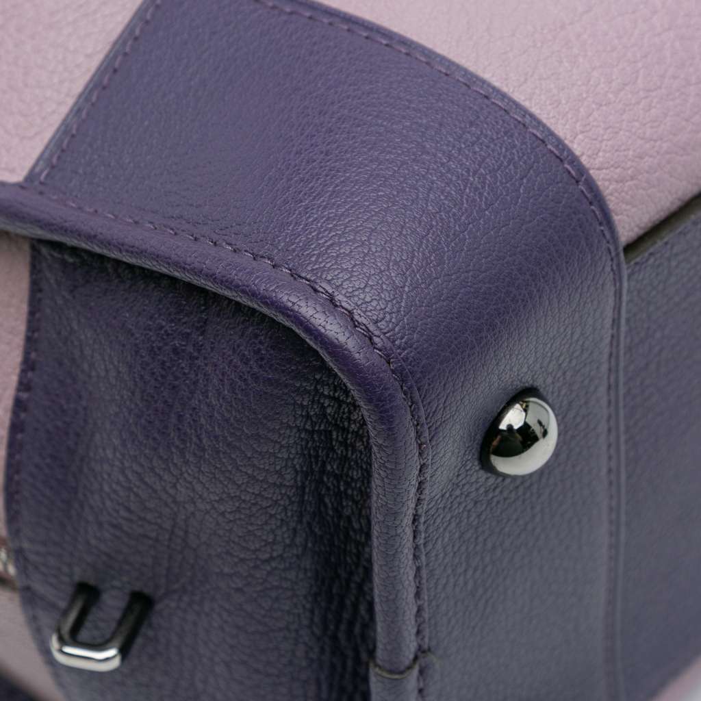 Loewe Tricolor Goatskin Amazona 36 - Image 10